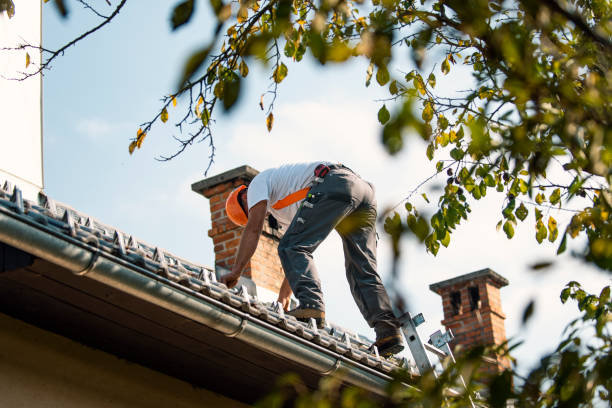 Best Storm Damage Roof Repair  in Charleroi, PA